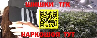 гидропоника Пенза