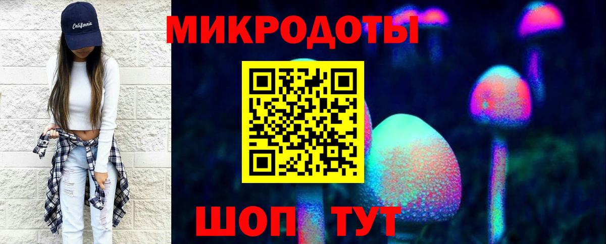 Псилоцибиновые грибы мухоморы Каменка