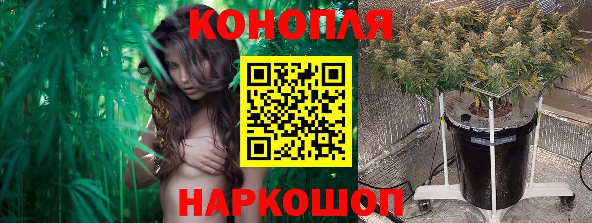 МАРИХУАНА Amnesia Каменка